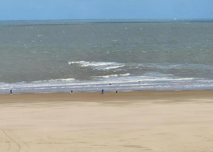 In With Sea View Appartement Knokke-Heist