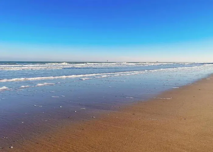 Appartement In With Sea View Knokke-Heist